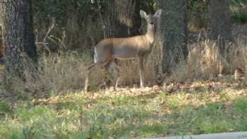 Wind Point Park