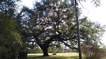 Enchanted Oaks BNB