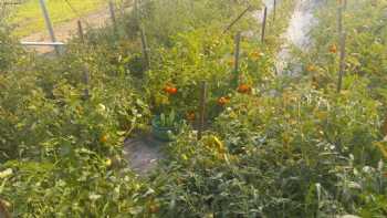 Indian Point Farm