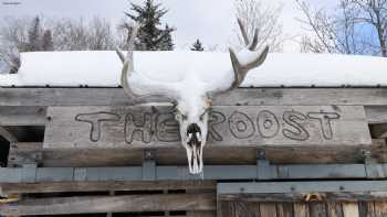 The Roost