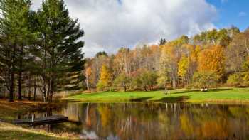 Moose Meadow Lodge & Treehouse