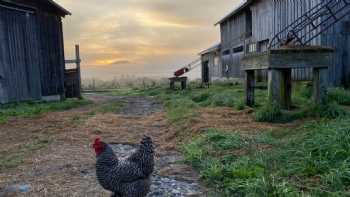 Hollister Hill Farm Bed and Breakfast