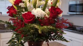 Elana's Broad St. Florist & Gifts