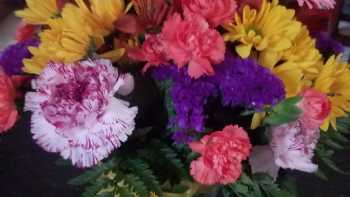 Elana's Broad St. Florist & Gifts