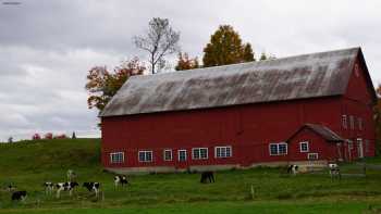 Mountain Meadow View B&B