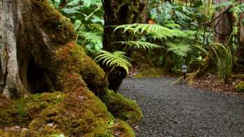 Volcano Rainforest Retreat