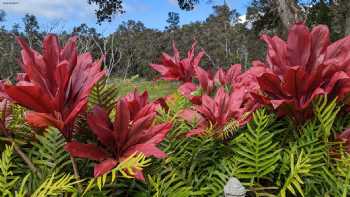 Waiola Guesthouse