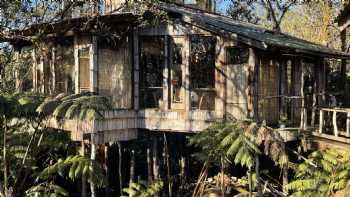 Volcano treehouse