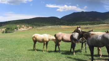 Peaceful Creek Ranch