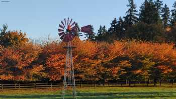 Scappoose Creek Inn