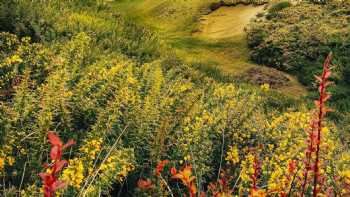 Bandon Dunes Golf Resort