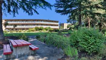 Riverfront Inn - Roseburg