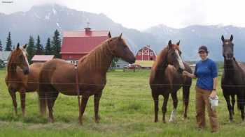 Country Garden Farms