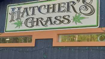 Hatcher's Grass