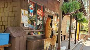 Metolius River Lodges