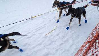 Yukon Quest Alaska Headquarters & Gift Shop