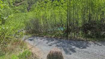 Girdwood Summer Sled Dog Adventure