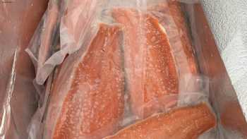 Wild Alaskan Salmon Haines Packing Co.