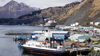 Discover Kodiak