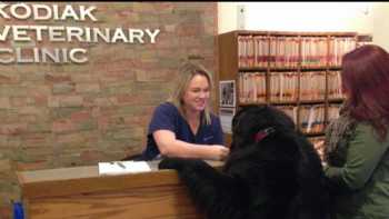 Kodiak Veterinary Clinic