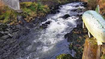 Fishing. Ketchikan adventure tours