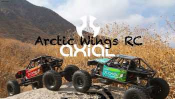 Arctic Wings RC