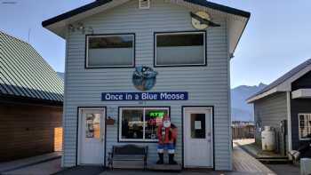 Once in a Blue Moose