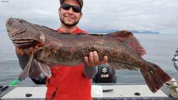 Fish Seward Alaska, Inc.