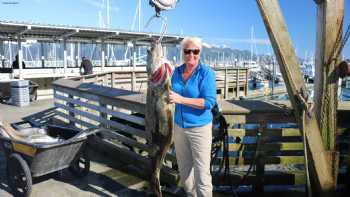 Fish Seward Alaska, Inc.