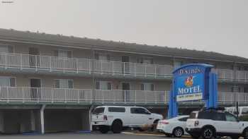 D Sands Motel