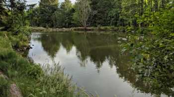 Healing Ponds