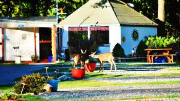 Port Orford RV Village