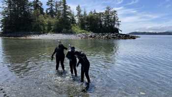 Selkie Snorkel - Sitka