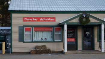 Diane Reo - State Farm Insurance Agent