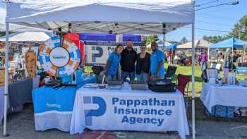 Pappathan Insurance Agency