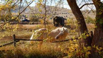 Fossil Motel & RV Park