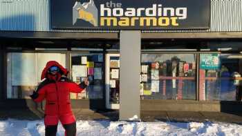 The Hoarding Marmot