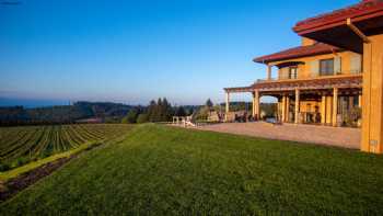 Black Walnut Inn & Vineyard