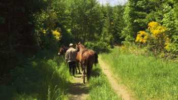 Sweet Springs Family Farm