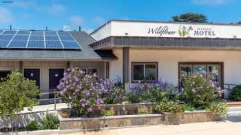 Wildflower Boutique Motel