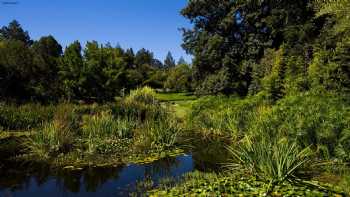 Wild Iris Retreat