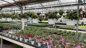 Pleasant Valley Greenhouse, LLC