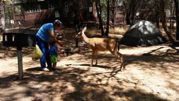 Thousand Trails Campground