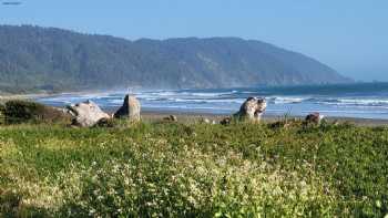 Crescent Beach Motel