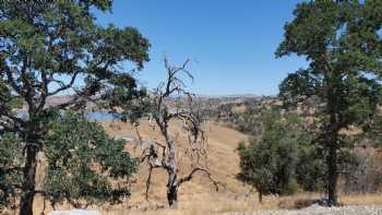 Codorniz Recreation Area Campground