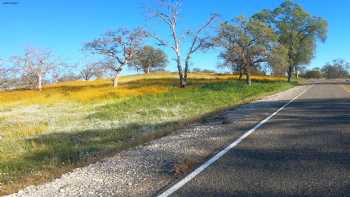 Codorniz Recreation Area Campground