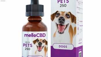 Mello CBD Oil