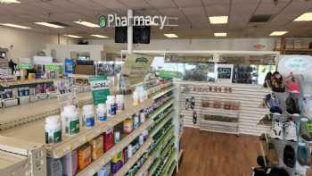 Shayona Pharmacy