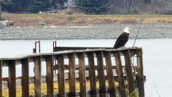 Yakutat Lodge