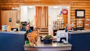 Chena Veterinary Clinic